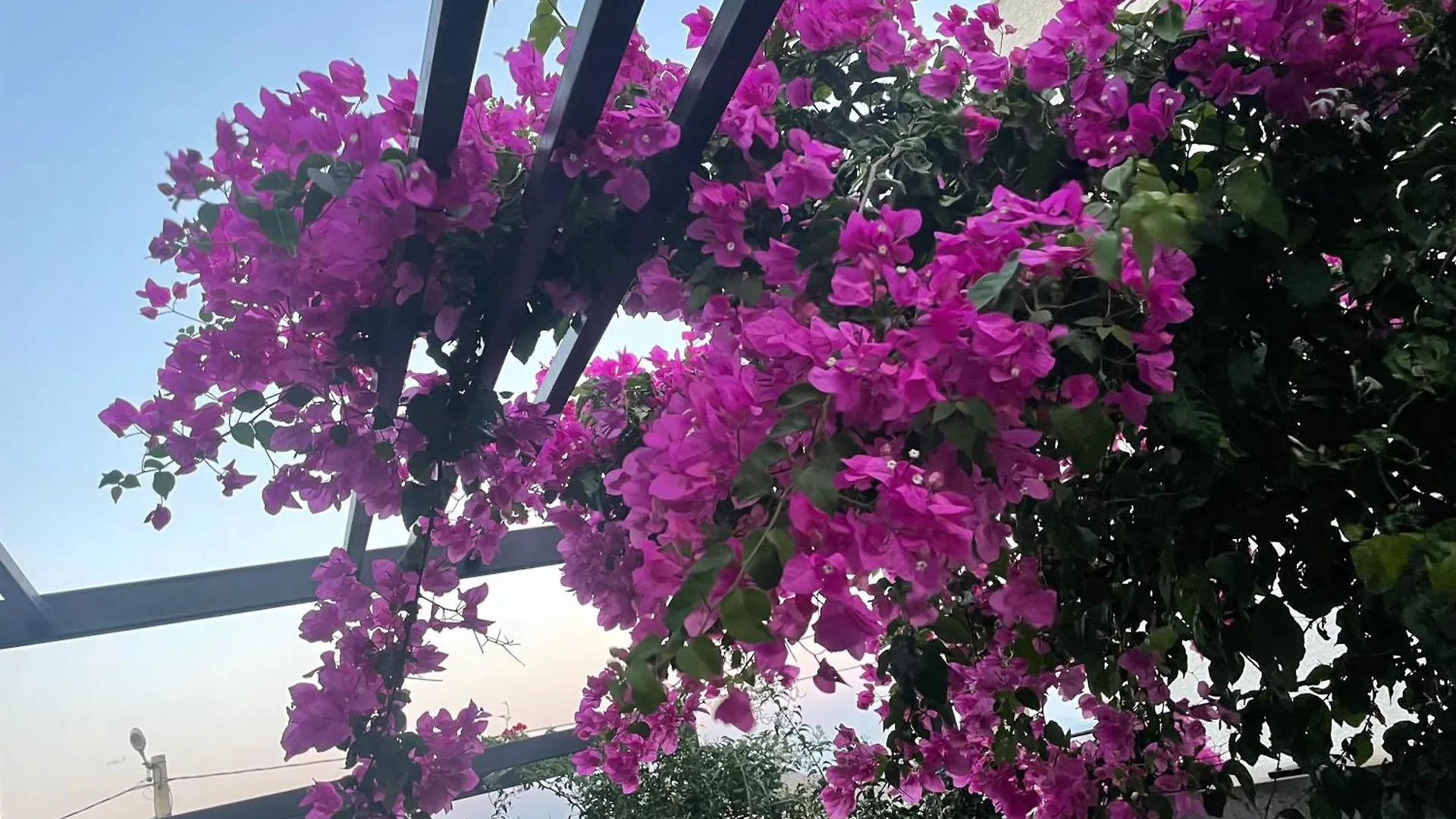 Havuzlu Ve Jakuzuli Lueks Villa بودروم
