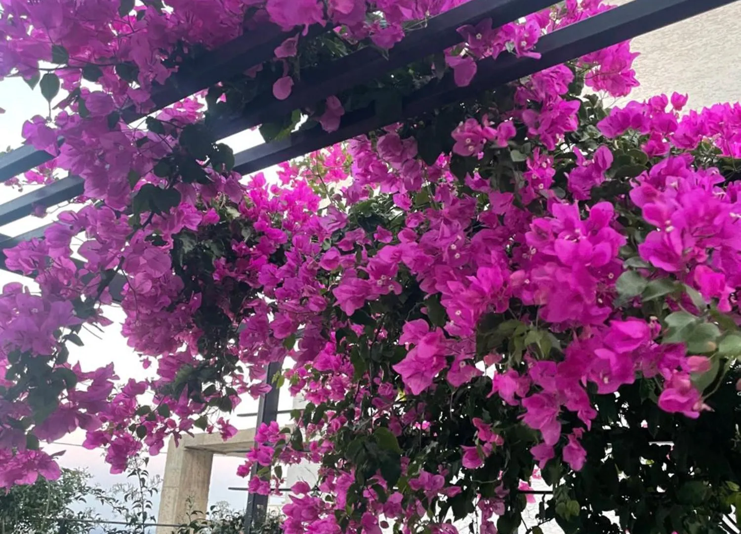 Havuzlu Ve Jakuzuli Lueks Villa بودروم